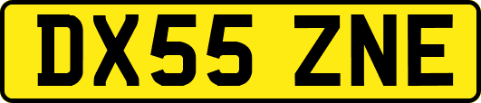 DX55ZNE