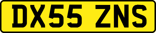 DX55ZNS