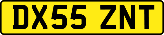 DX55ZNT
