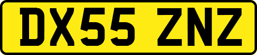 DX55ZNZ