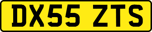 DX55ZTS