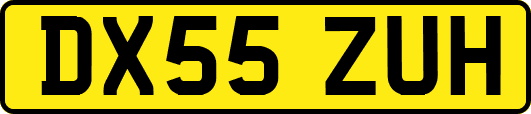 DX55ZUH