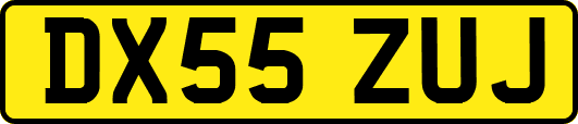 DX55ZUJ