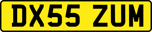 DX55ZUM