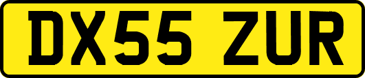 DX55ZUR
