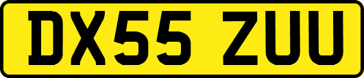 DX55ZUU