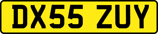 DX55ZUY