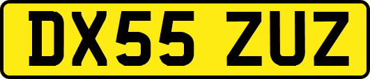 DX55ZUZ