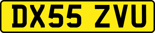 DX55ZVU