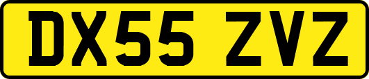 DX55ZVZ