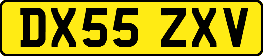 DX55ZXV