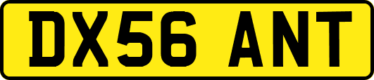 DX56ANT