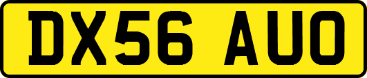 DX56AUO