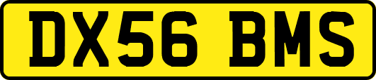 DX56BMS