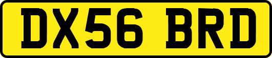 DX56BRD