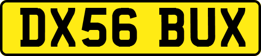 DX56BUX