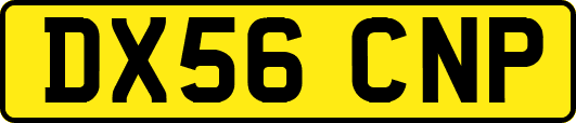 DX56CNP