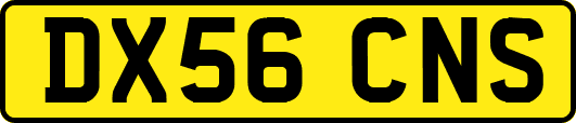 DX56CNS