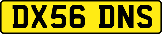 DX56DNS