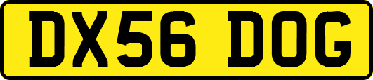 DX56DOG