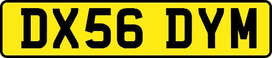 DX56DYM