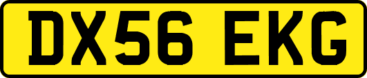 DX56EKG