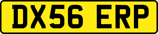 DX56ERP