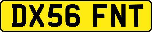 DX56FNT