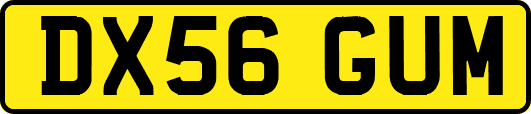 DX56GUM