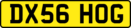 DX56HOG