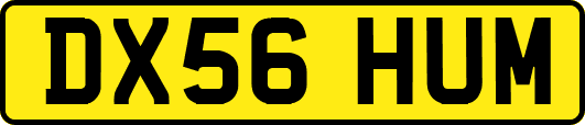 DX56HUM
