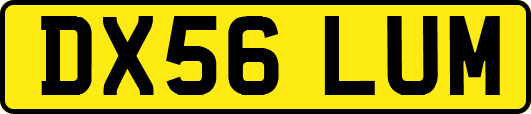 DX56LUM