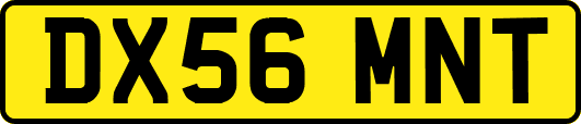 DX56MNT