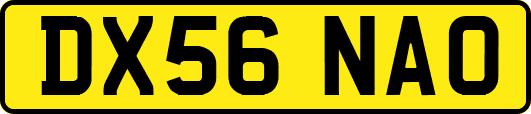 DX56NAO