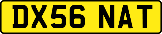 DX56NAT