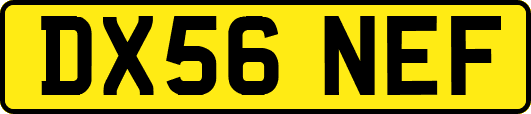 DX56NEF