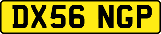 DX56NGP