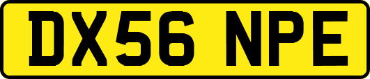 DX56NPE