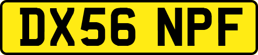 DX56NPF
