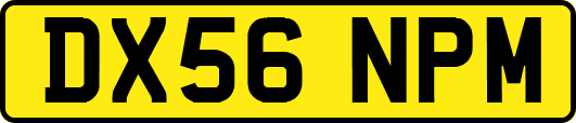 DX56NPM