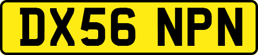 DX56NPN