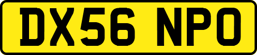 DX56NPO