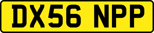 DX56NPP