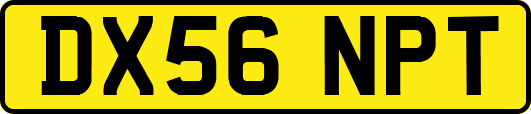 DX56NPT