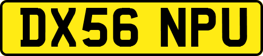 DX56NPU