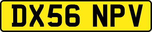 DX56NPV