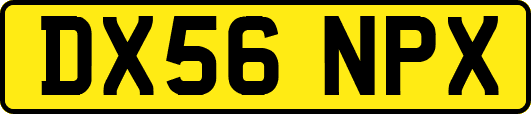 DX56NPX