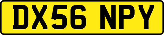 DX56NPY