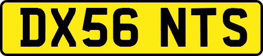 DX56NTS