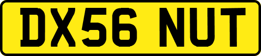 DX56NUT